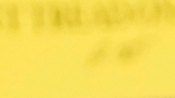 El Cirujano General de Florida, Joseph Ladapo, anunció que no se exigirá más la vacunación en las escuelas del estado.