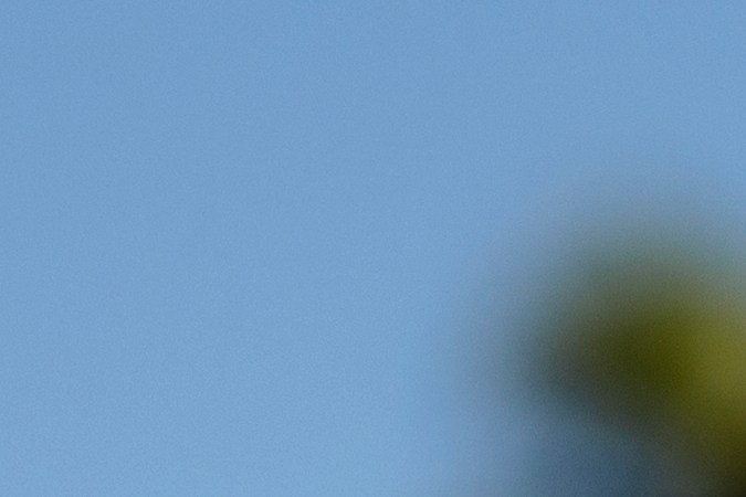 Dos jóvenes se toman una selfie al aire libre con un teléfono móvil, representando el papel de la comunidad hispana en la cultura digital.