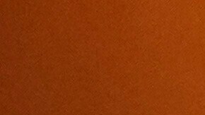 Juan Ramón de la Fuente, canciller mexicano