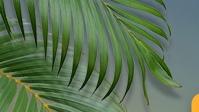 Mauricio Islas, Julieta Grajales, José María Galeano, Jason Romo, y Zoraida Gómez están listos para "La Isla: Desafío Extremo 2".