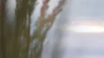 La Toyota Highlander 2026