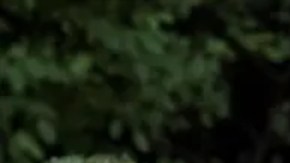 El presidente de Francia, Emmanuel Macron y su esposa Brigitte, presentaran una demanda contra la comentadora conservadora Candance Owens.