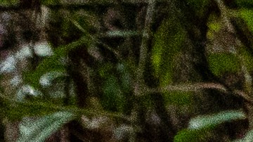 El músico tuvo su primer éxito como cantante con 'Eres', la balada más exitosa de la llamada "Chilanga Banda".