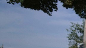 Immigration Arrest Shooting Death