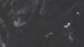 Millie Bobby Brown y Jake Bongiovi