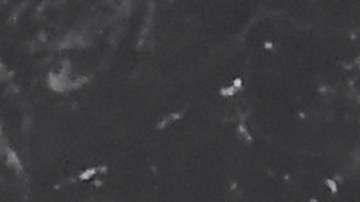 Millie Bobby Brown y Jake Bongiovi