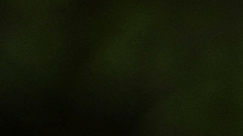 Monica Bellucci Tim Burton