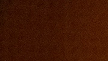 Naasón Joaquín García