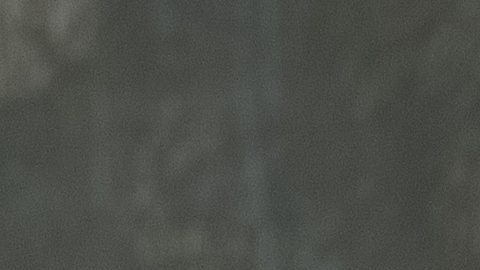 Olga Tañón ha sido confirmada para presentarse en la nueva edición de Premios Billboard 2025.