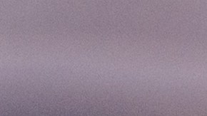 Pago del Seguro Social