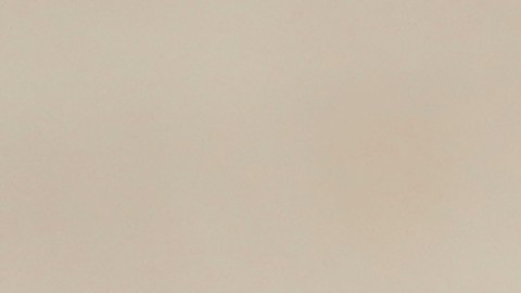 Carlo Acutis, fallecido de leucemia, creó sitios web multilingües para difundir la doctrina católica, lo que le valió el apodo de “el influencer de Dios”.