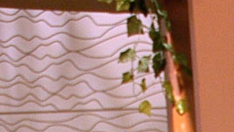 Pepillo Origel Silvia Pinal