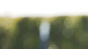 Peter Brian Hegseth, secretario del Departamento de Defensa