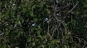 Planned Parenthood provee servicios de atención primaria relacionados con los derechos reproductivos y la planificación familiar.