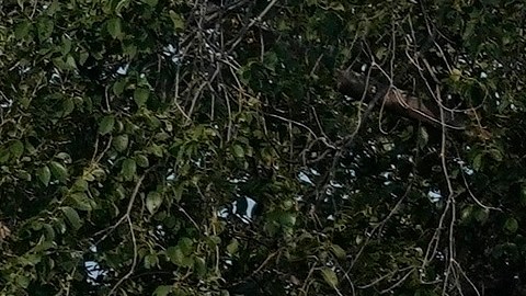 Planned Parenthood provee servicios de atención primaria relacionados con los derechos reproductivos y la planificación familiar.