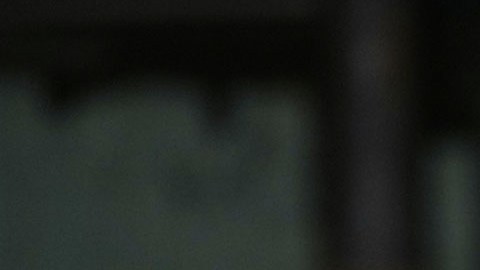 Ron DeSantis, gobernador de Florida