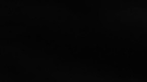 Seguro Social y cierre de gobierno