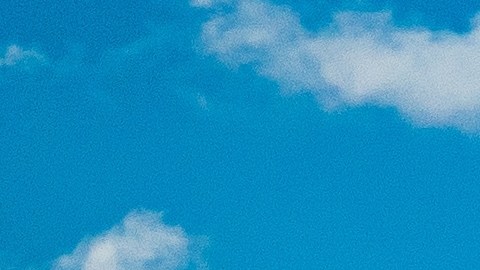 Spirit Airlines anuncia la suspensión de 1,800 auxiliares de vuelo antes de la temporada navideña