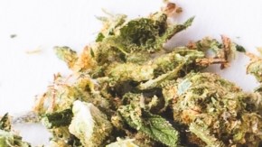 Texas emite una orden para prohibir la venta a menores de THC, principal compuesto de la marihuana