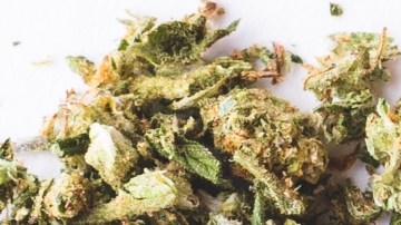 Texas emite una orden para prohibir la venta a menores de THC, principal compuesto de la marihuana