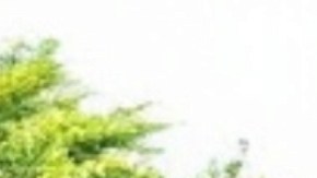 El Dolby Atmos ofrece una sensación de sonido espacial mientras disfrutas de contenido en tu TV