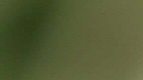 La Reserva Federal y las tasas hipotecarias: claves para entender su impacto en el mercado