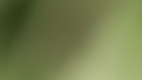 La Reserva Federal y las tasas hipotecarias: claves para entender su impacto en el mercado