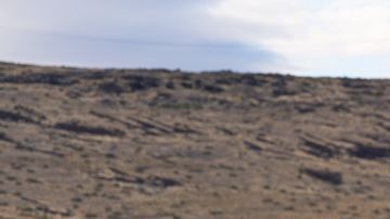 Tesla y sus Supercargadores