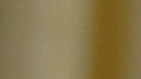 John Thune aseguró que tras el cierre y sus repercusiones, más demócratas votarán a favor del proyecto republicano.