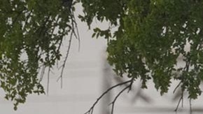 La policía continúa investigando si existen más implicados en el tiroteo