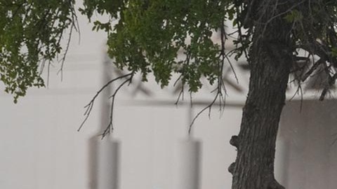 La policía continúa investigando si existen más implicados en el tiroteo