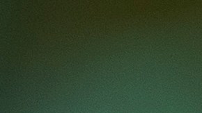 Departamento de Justicia finalmente decidió que las pruebas contra Homan eran insuficientes.