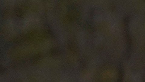 A USPS employee loads a truck outside post office in Wheeling, Ill., Friday, Dec. 3, 2021. The last holiday season was far from the most wonderful time of the year for the U.S. Postal Service: Sick and quarantined workers, a flood of packages from shoppers loath to set foot in stores and a last-minute dump of packages from overwhelmed private shippers. (AP Photo/Nam Y. Huh)