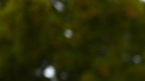 Muestra de respeto a la memoria de Charlie Kirk