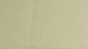 Tyler Robinson comparece de forma virtual ante en juez.