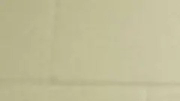 Tyler Robinson comparece de forma virtual ante en juez.