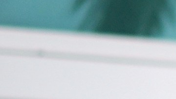 Las restricciones de vacunas en Florida ponen en duda cuándo las familias se podrán vacunar y contra cuáles enfermedades.