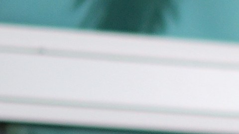 Las restricciones de vacunas en Florida ponen en duda cuándo las familias se podrán vacunar y contra cuáles enfermedades.