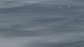 An Immigration and Customs Enforcement vehicle is parked outside the U.S. Immigration and Customs Enforcement (ICE) building Wednesday, Sept. 24, 2025, in Broadview, Ill. (AP Photo/Erin Hooley)