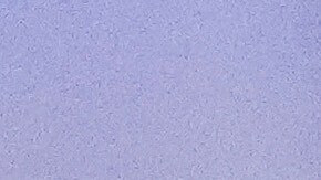 La demócrata Adelita Grijalva es la primer mujer latina que representa a Arizona en el Congreso.