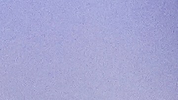 La demócrata Adelita Grijalva es la primer mujer latina que representa a Arizona en el Congreso.