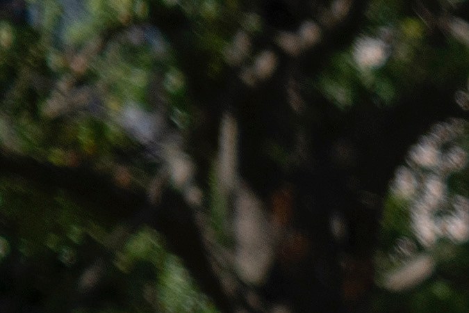 Las recientes redadas de ICE en Los Ángeles forman parte de un plan más amplio para intensificar los controles migratorios en el sur de California.