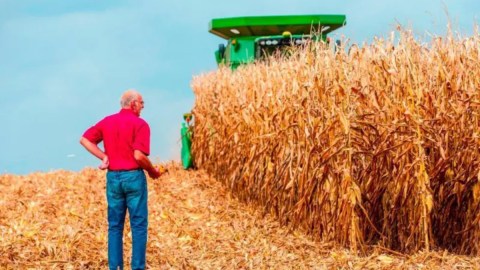 Algunos agricultores temen que será difícil vender sus productos debido a los aranceles.
