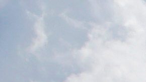 Es la segunda vez este año que se encuentran polizones en el tren de aterrizaje de aeropuertos estadounidenses.