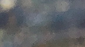 El pequeño cangrejo, de apenas unos centímetros, sobrevivió durante su extracción del oído del niño.