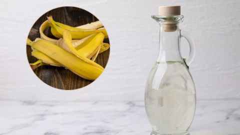 Las cáscaras de banana contienen minerales esenciales para los vegetales y el vinagre ayuda a liberar esos nutrientes más rápido.