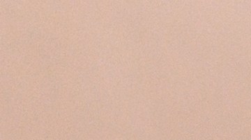 Según el Departamento de Seguridad Nacional (DHS), decenas de miles de inmigrantes indocumentados ya se han autodeportado a través de CPB Home.