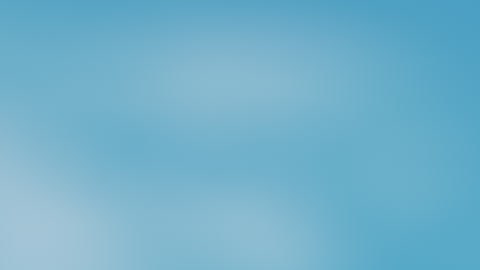 La tarifa de la CBP incluye a personas que ingresen en automóvil, autobús o a pie a través de los puertos de entrada.