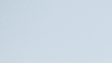 "Los israelíes han aceptado mis condiciones. Es hora de que Hamás también las acepte”, insistió Trump.