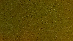 Trump se burla de la ONU: "Lo único que me dio es un telepronter roto y unas escaleras mecánicas estropeadas".